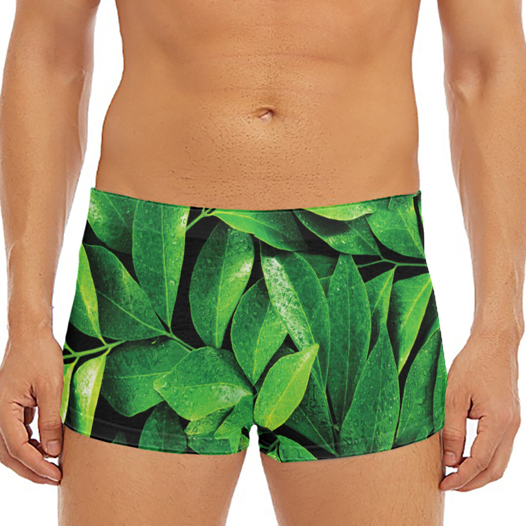 Fresh Green Leaf Print Men's Short Boxer Briefs