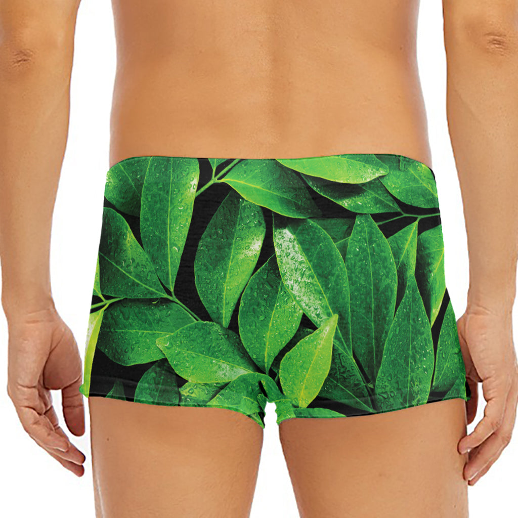 Fresh Green Leaf Print Men's Short Boxer Briefs