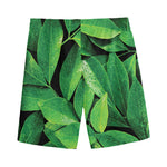 Fresh Green Leaf Print Men's Sports Shorts