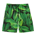 Fresh Green Leaf Print Men's Swim Trunks