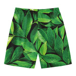 Fresh Green Leaf Print Men's Swim Trunks