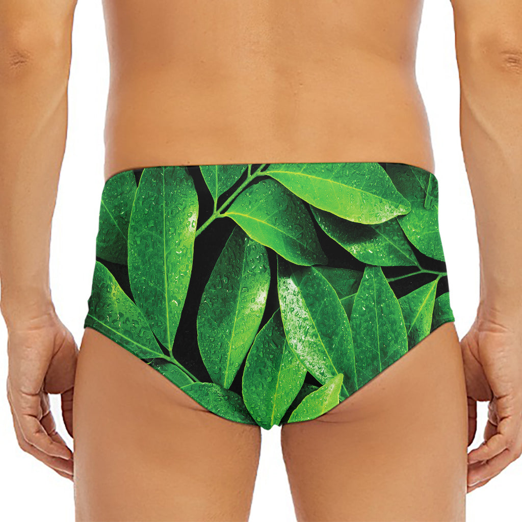 Fresh Green Leaf Print Men's Triangle Swim Briefs