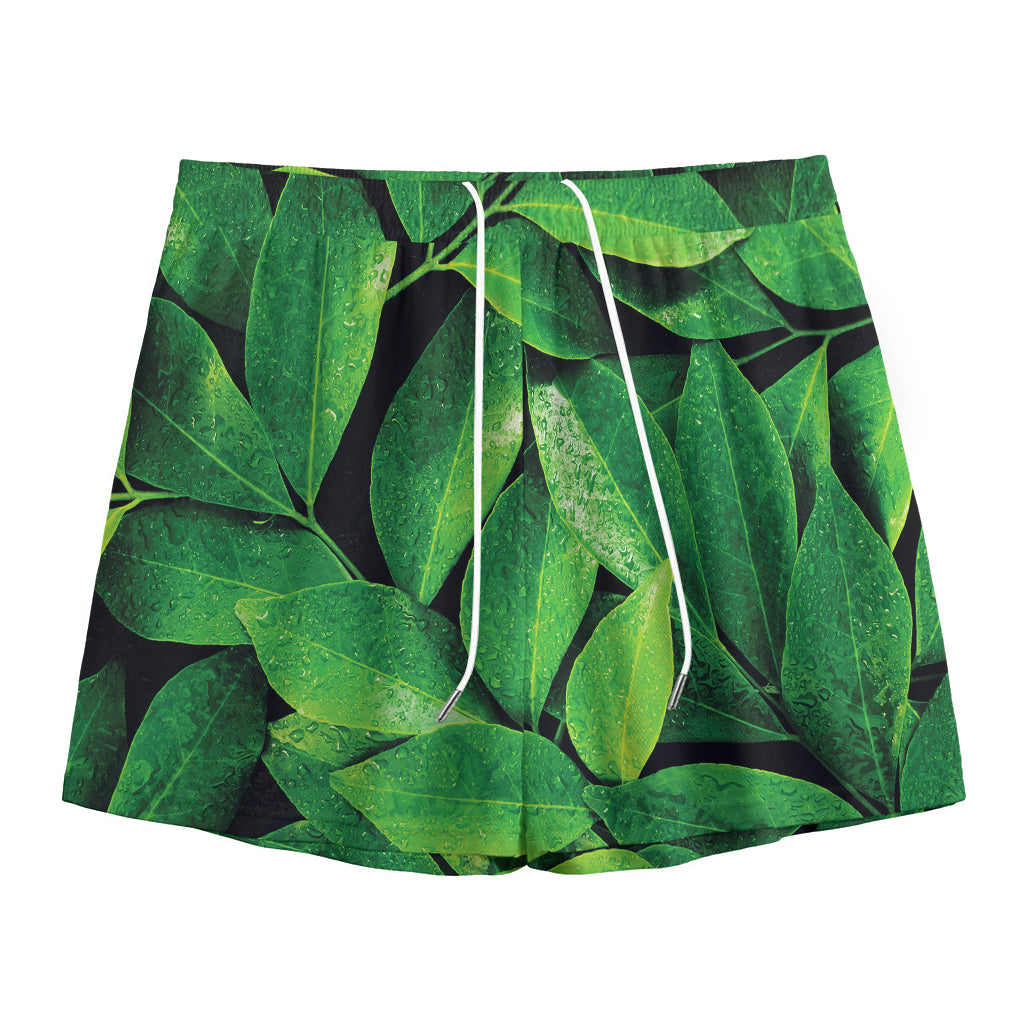 Fresh Green Leaf Print Mesh Shorts