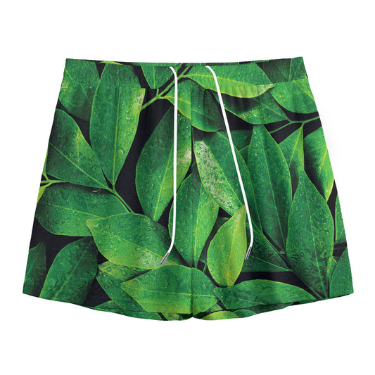 Fresh Green Leaf Print Mesh Shorts