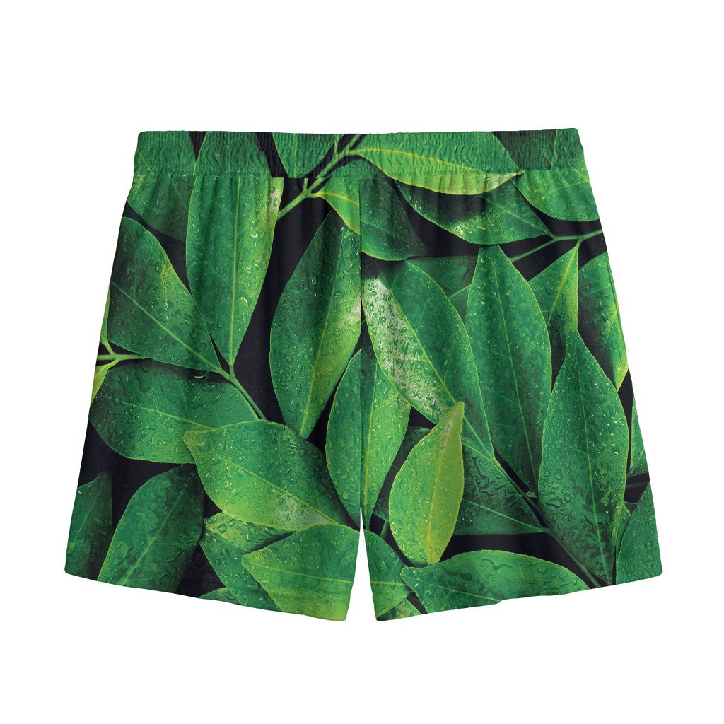 Fresh Green Leaf Print Mesh Shorts