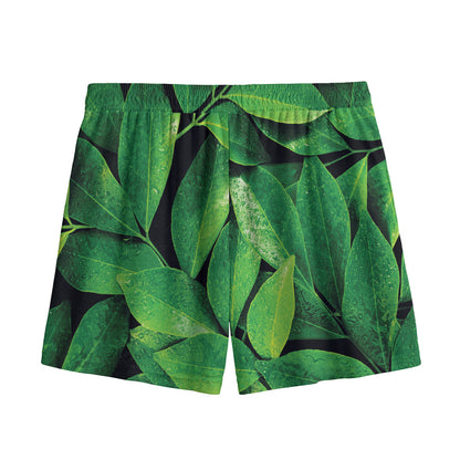 Fresh Green Leaf Print Mesh Shorts