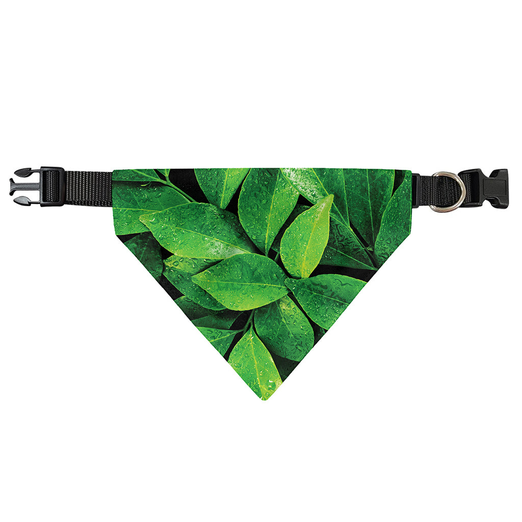 Fresh Green Leaf Print Over The Collar Dog Bandana
