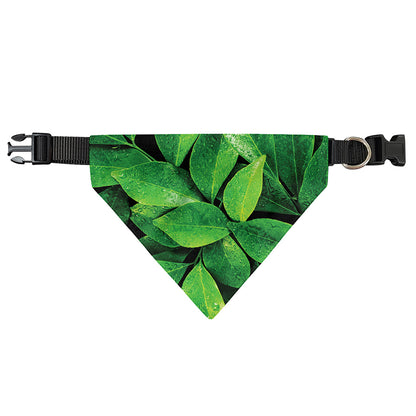 Fresh Green Leaf Print Over The Collar Dog Bandana