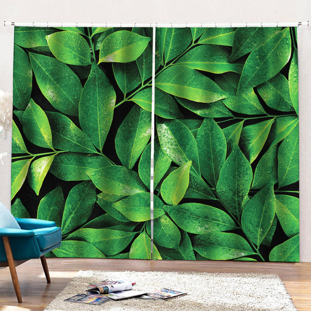 Fresh Green Leaf Print Pencil Pleat Curtains