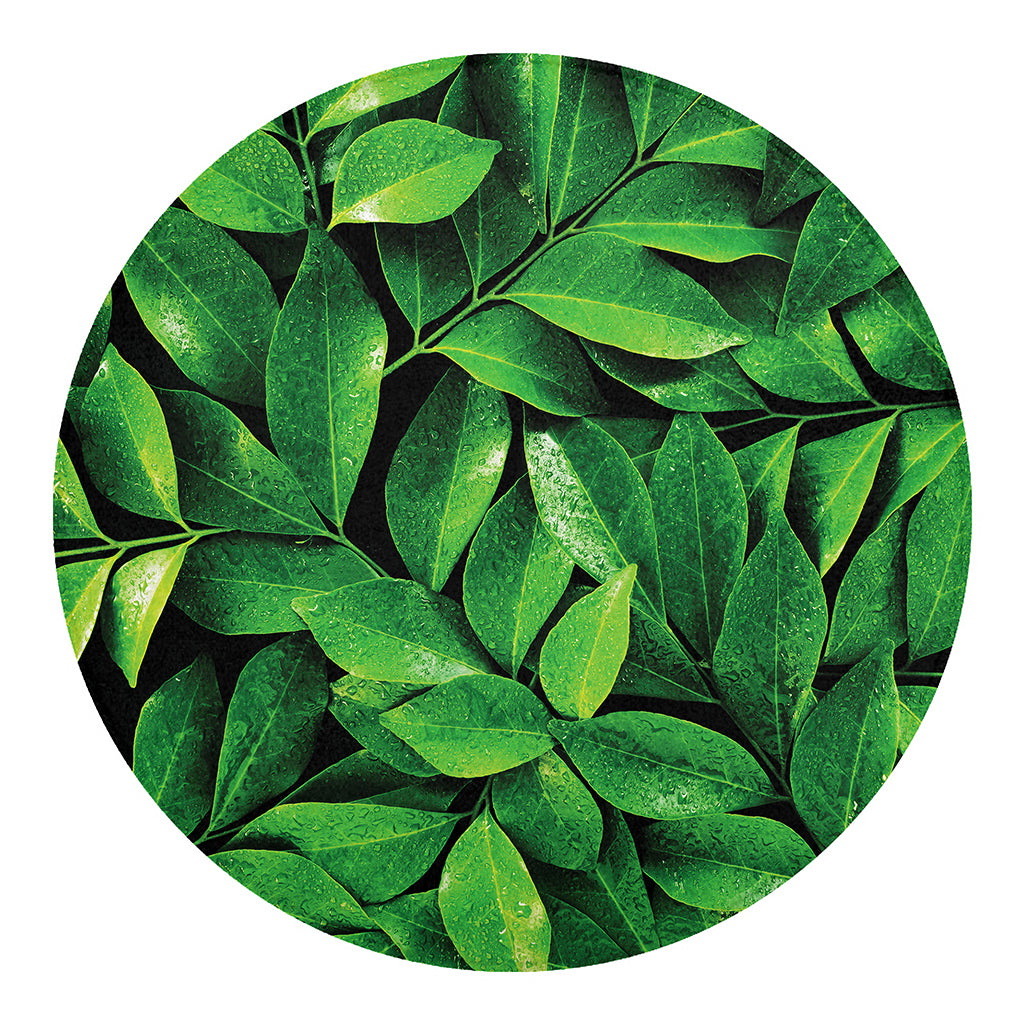Fresh Green Leaf Print Round Blanket