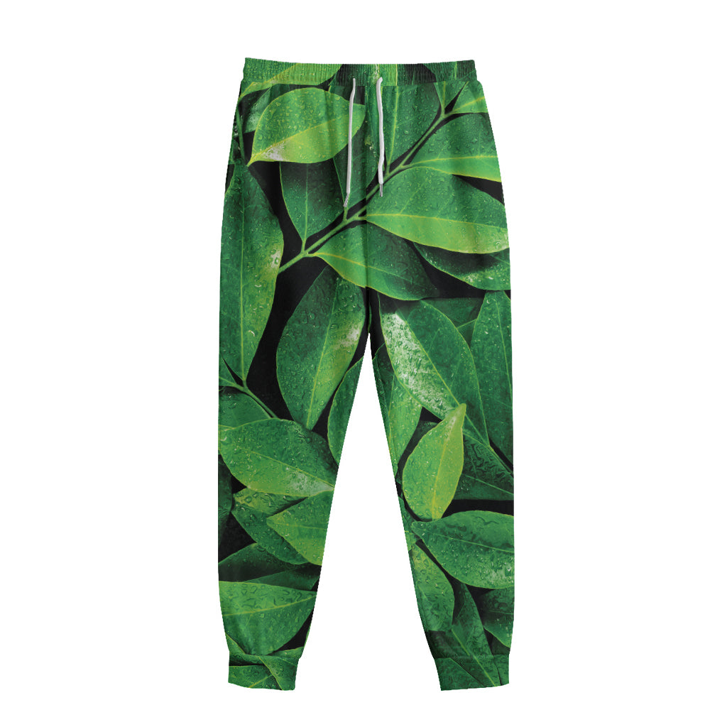 Fresh Green Leaf Print Sweatpants