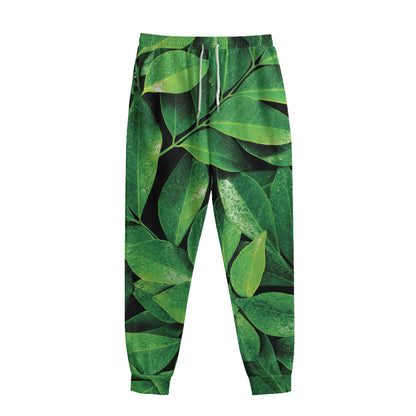 Fresh Green Leaf Print Sweatpants