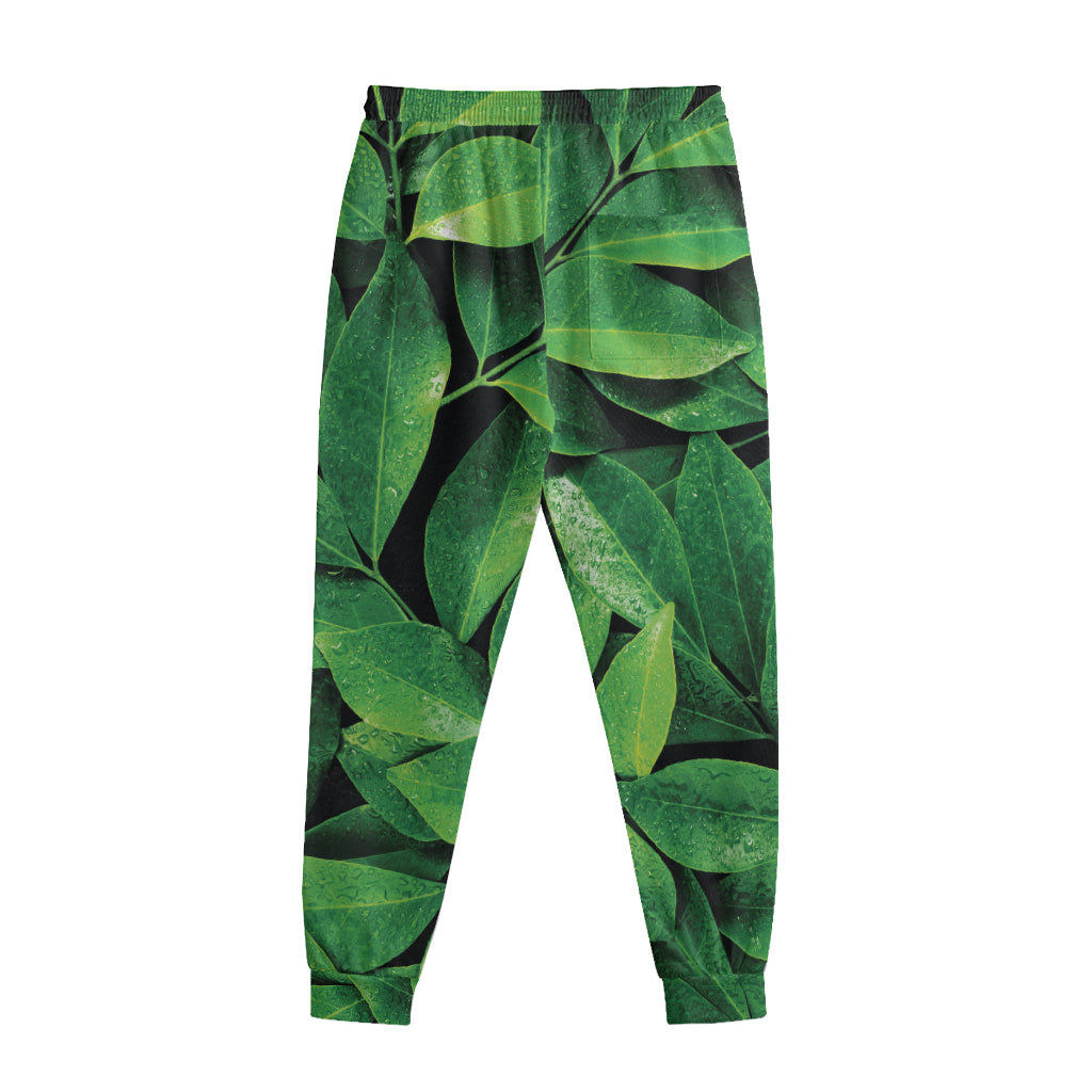 Fresh Green Leaf Print Sweatpants