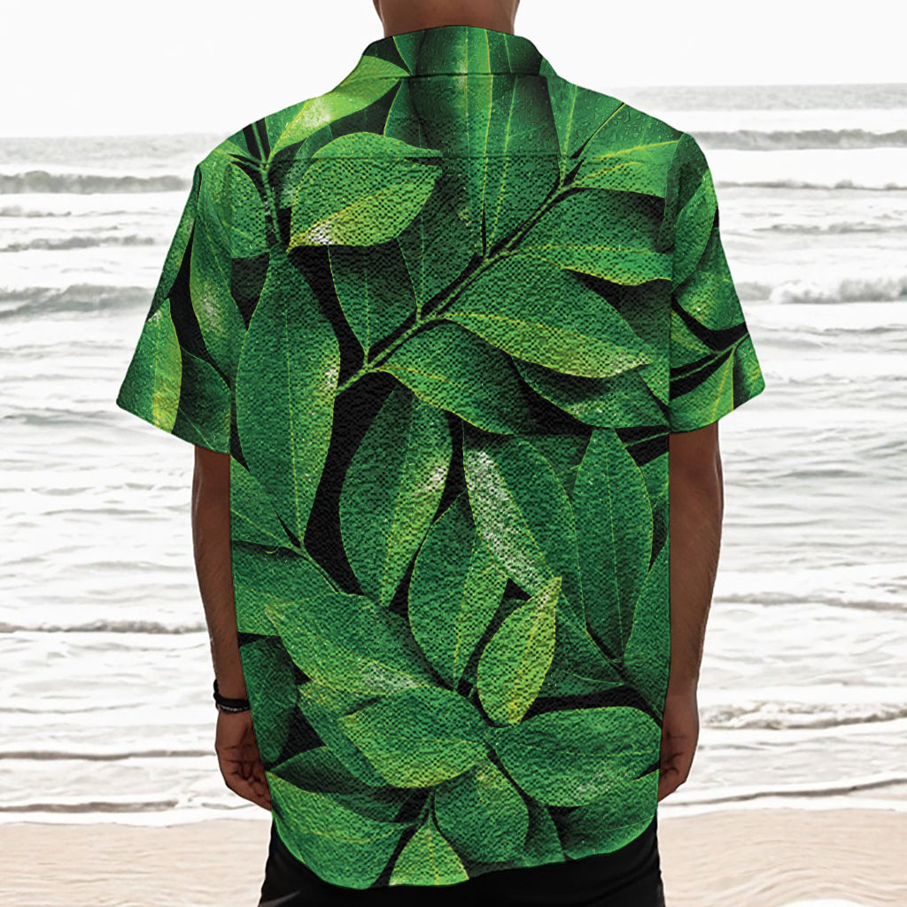 Fresh Green Leaf Print Textured Short Sleeve Shirt