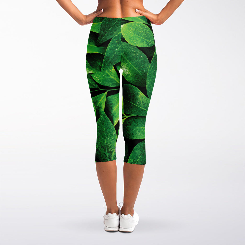 Fresh Green Leaf Print Women's Capri Leggings