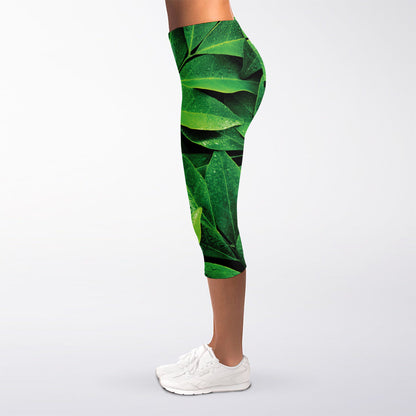 Fresh Green Leaf Print Women's Capri Leggings
