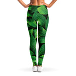 Fresh Green Leaf Print Women's Leggings