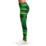 Fresh Green Leaf Print Women's Leggings