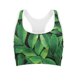 Fresh Green Leaf Print Women's Sports Bra