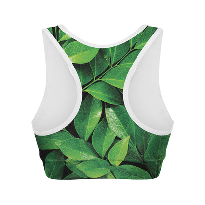 Fresh Green Leaf Print Women's Sports Bra