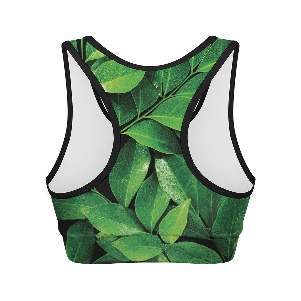 Fresh Green Leaf Print Women's Sports Bra