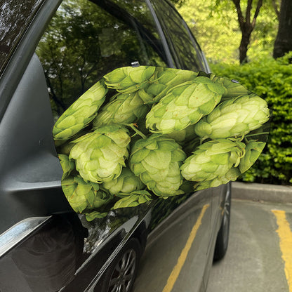 Fresh Hop Cone Print Car Side Mirror Covers