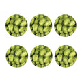 Fresh Hop Cone Print Coaster Set