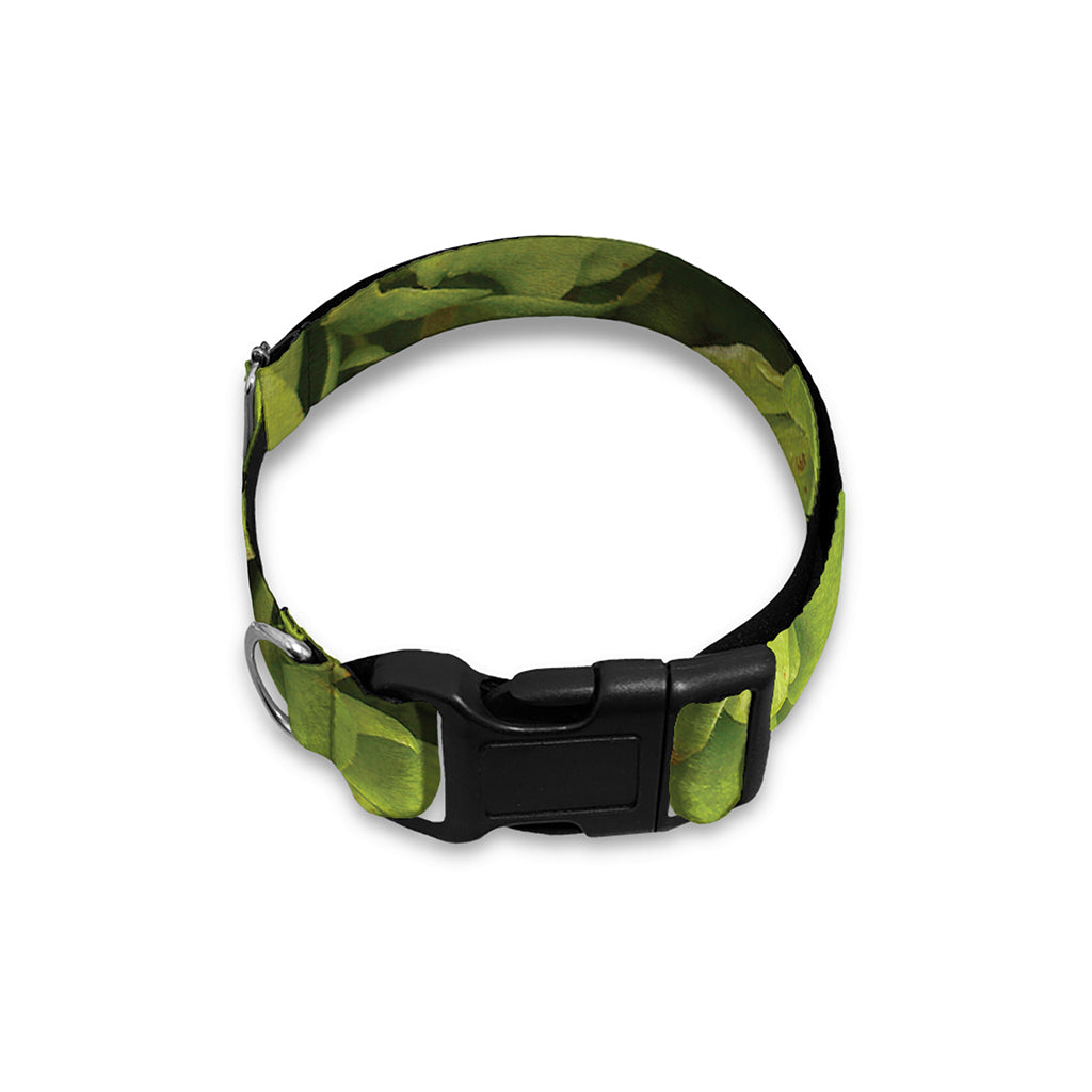 Fresh Hop Cone Print Dog Collar
