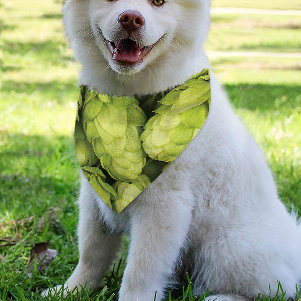 Fresh Hop Cone Print Over The Collar Dog Bandana