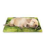 Fresh Hop Cone Print Pet Cooling Mat Cover