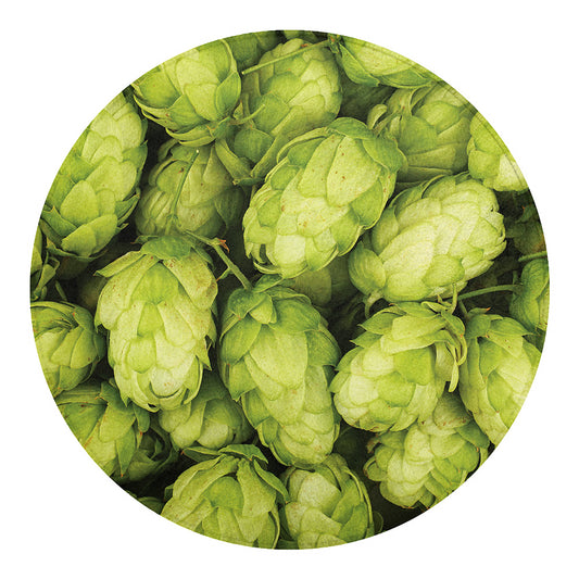 Fresh Hop Cone Print Round Blanket