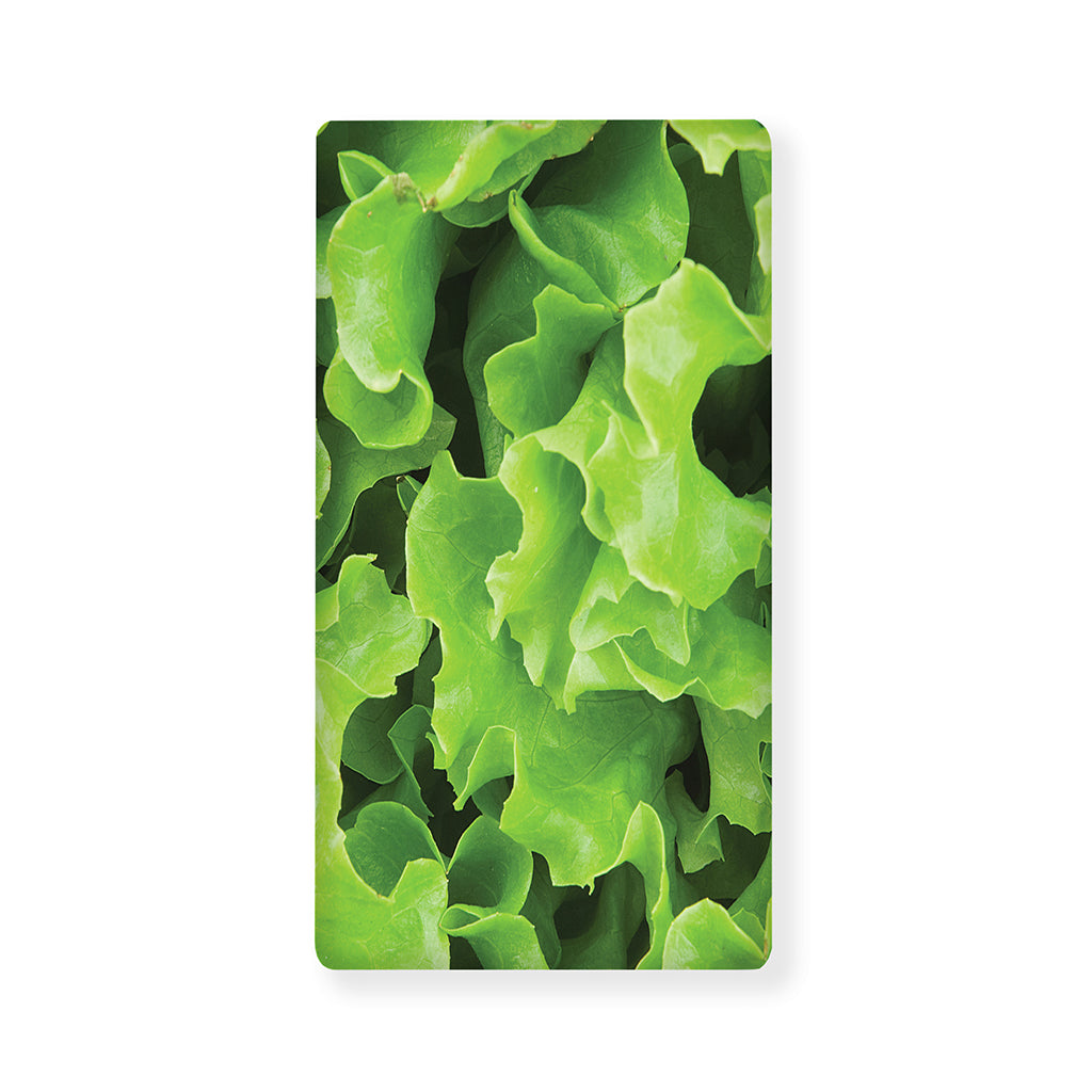 Fresh Lettuce Leaves Print Baby Crib Sheet