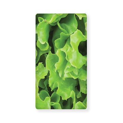 Fresh Lettuce Leaves Print Baby Crib Sheet