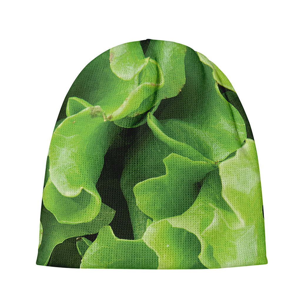 Fresh Lettuce Leaves Print Beanie