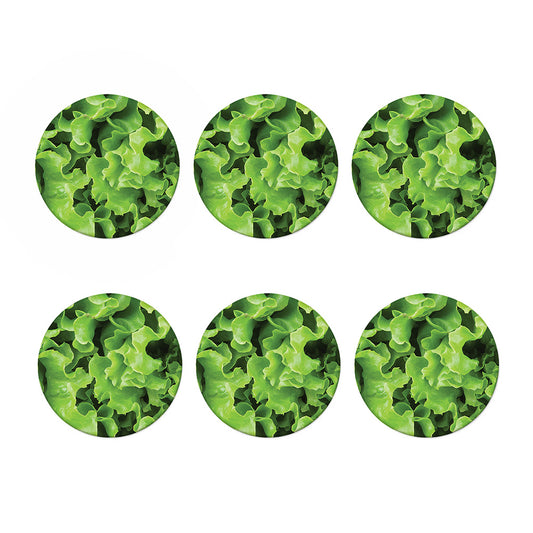 Fresh Lettuce Leaves Print Coaster Set