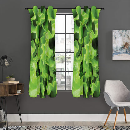 Fresh Lettuce Leaves Print Curtain