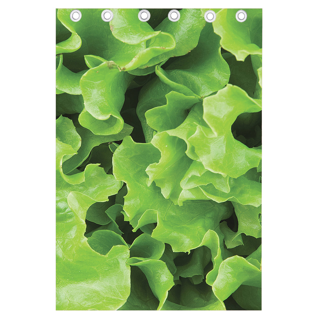 Fresh Lettuce Leaves Print Curtain