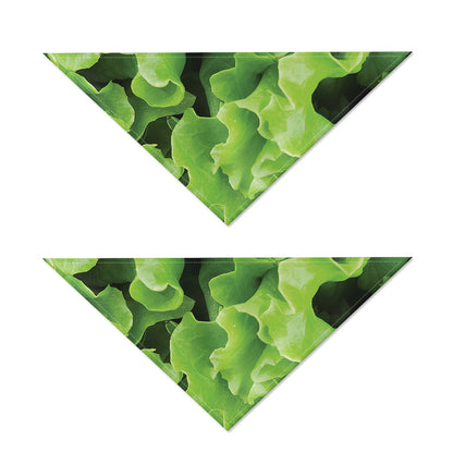 Fresh Lettuce Leaves Print Dog Bandana