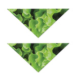 Fresh Lettuce Leaves Print Dog Bandana