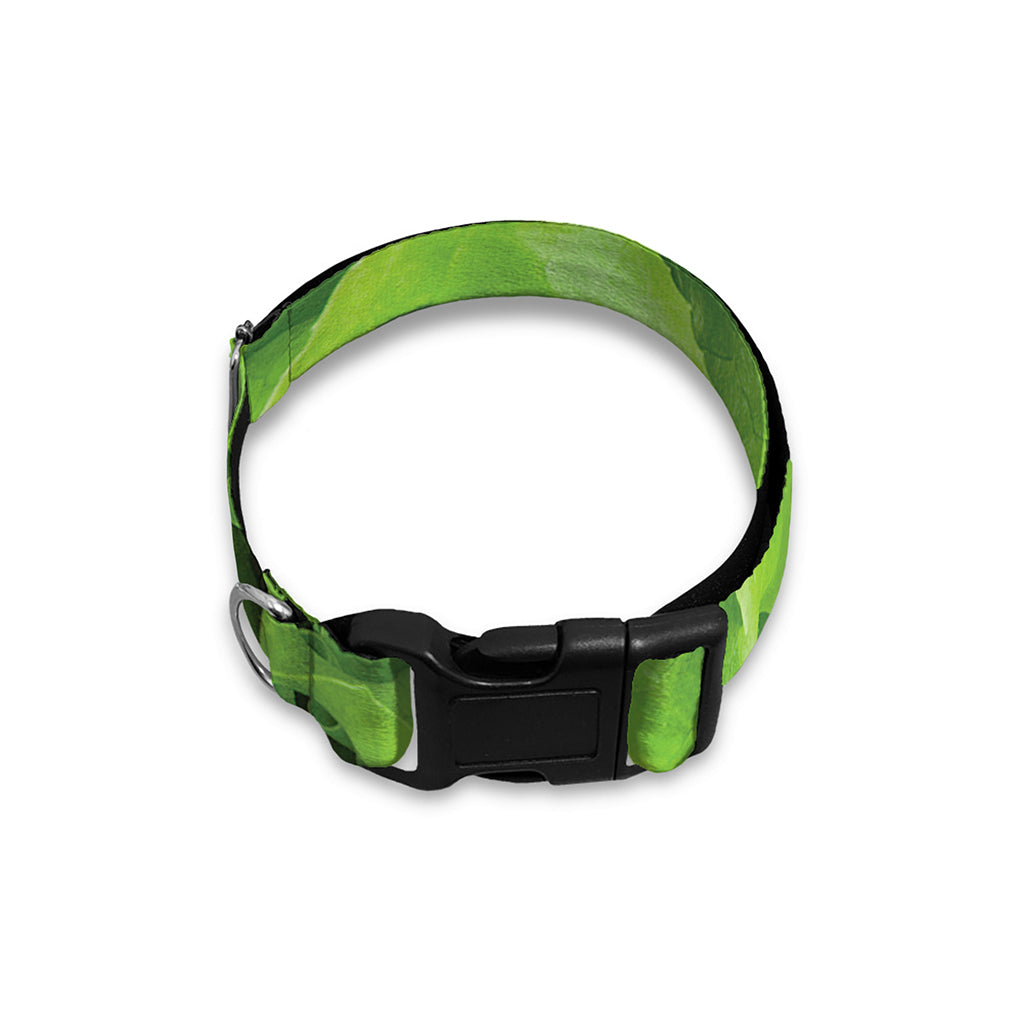 Fresh Lettuce Leaves Print Dog Collar