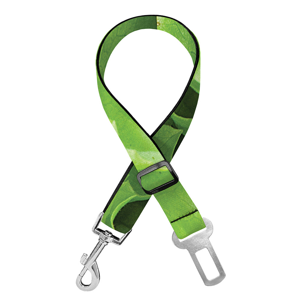 Fresh Lettuce Leaves Print Dog Seat Belt