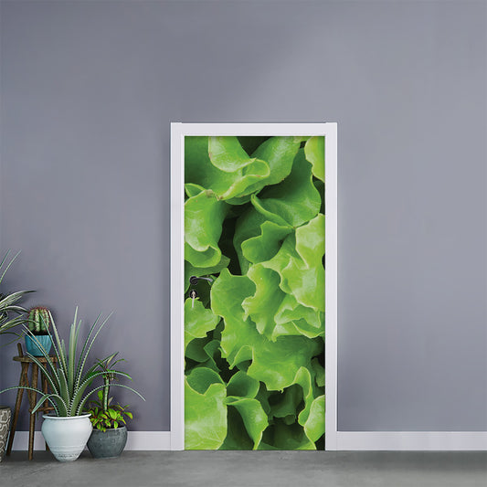 Fresh Lettuce Leaves Print Door Sticker