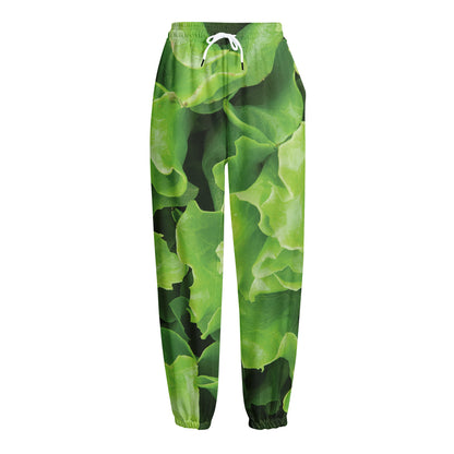 Fresh Lettuce Leaves Print Fleece Lined Knit Pants