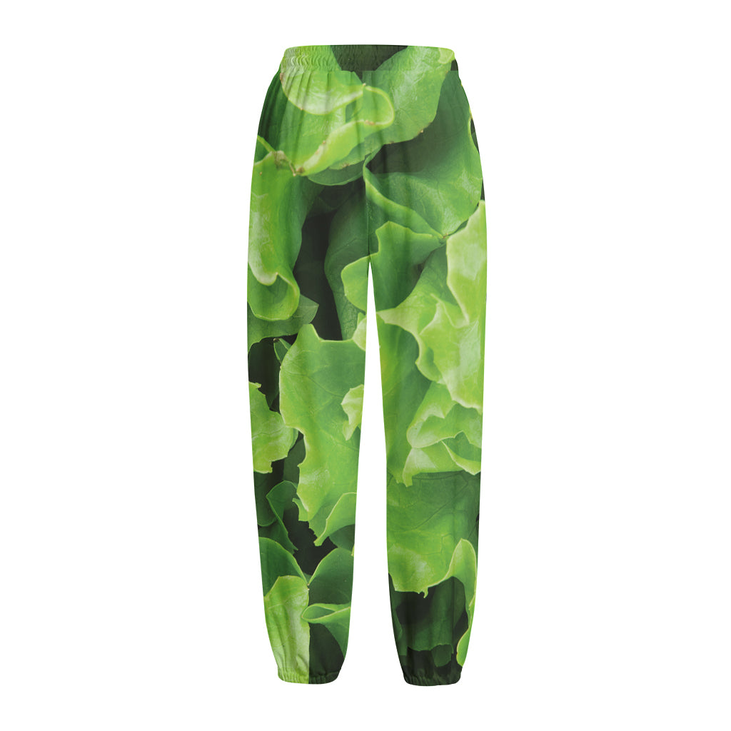 Fresh Lettuce Leaves Print Fleece Lined Knit Pants