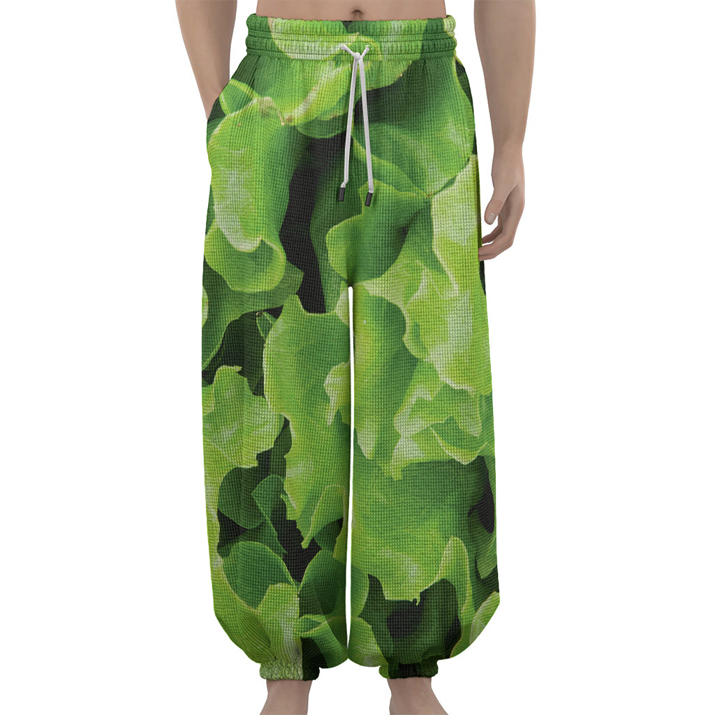 Fresh Lettuce Leaves Print Lantern Pants