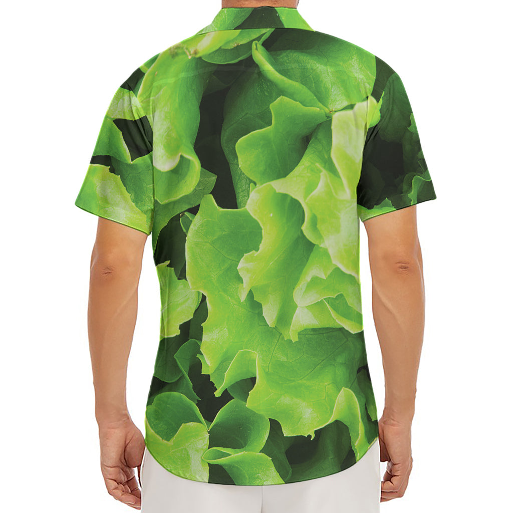 Fresh Lettuce Leaves Print Men's Deep V-Neck Shirt