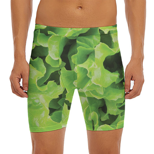 Fresh Lettuce Leaves Print Men's Long Boxer Briefs