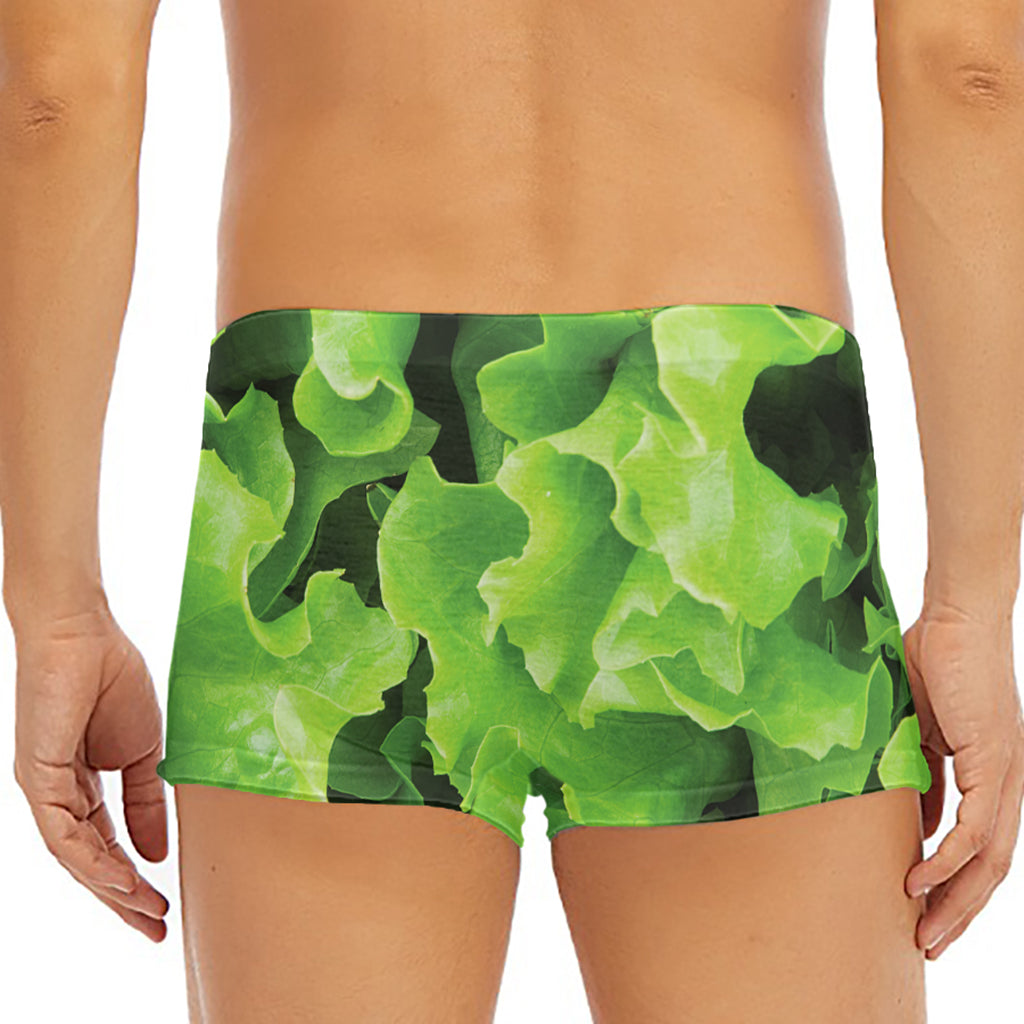 Fresh Lettuce Leaves Print Men's Short Boxer Briefs