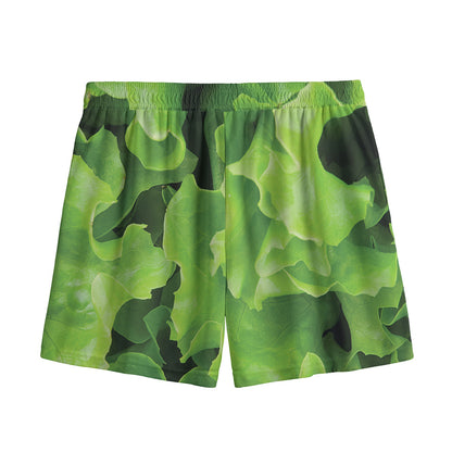 Fresh Lettuce Leaves Print Mesh Shorts