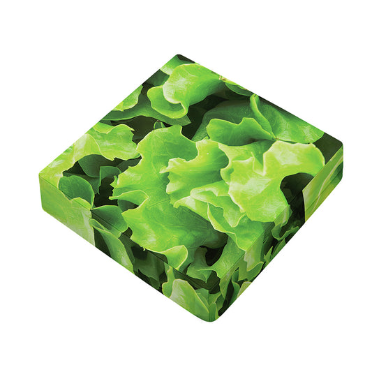 Fresh Lettuce Leaves Print Outdoor Seat Cushion Cover